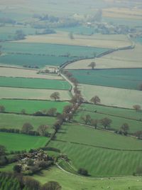 Scenic view of agricultural field