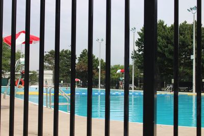 Close-up of swimming pool against trees