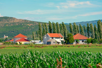 House on field by houses against sky