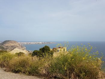 Scenic view of lake against clear sky
