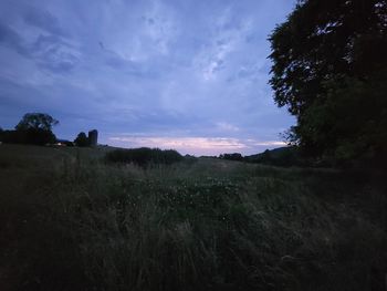 Scenic view of field against sky