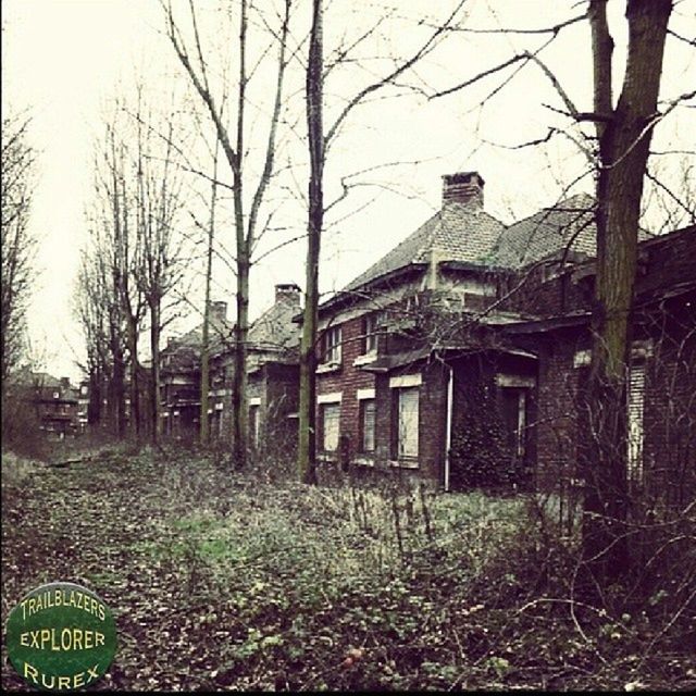 building exterior, architecture, built structure, bare tree, tree, sky, house, branch, outdoors, day, residential structure, tree trunk, clear sky, no people, nature, residential building, facade, grass, text, old