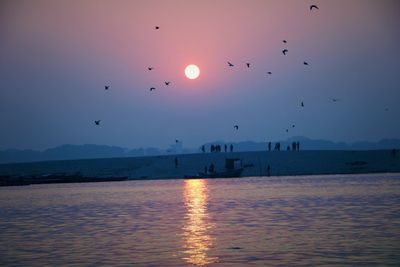 Birds flying over sea during sunset