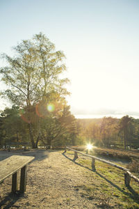 Trees on field against clear sky