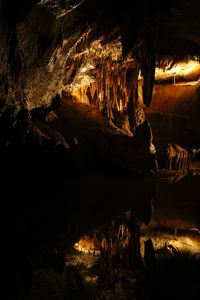 Close-up of log in cave