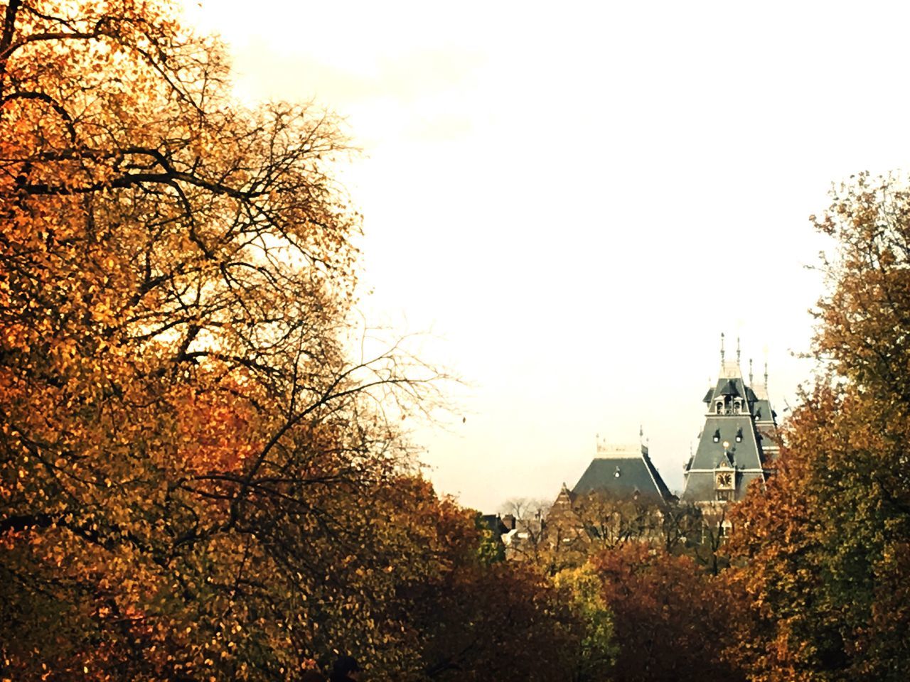 TREES AND BUILDING AGAINST SKY