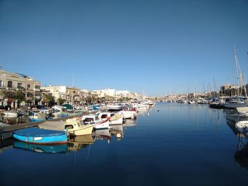 Sailboats moored in harbor