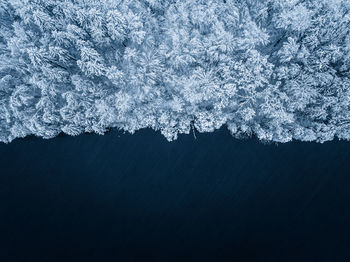 Top down picture from a landscape with snow covered forest and lake