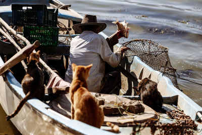 Man in boat on lake by cats