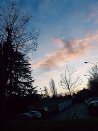 Silhouette trees against sky during sunset