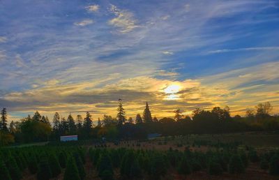 Scenic view of field against sky during sunset