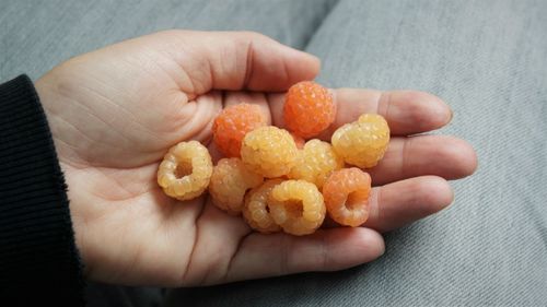 Close-up of hand holding orange