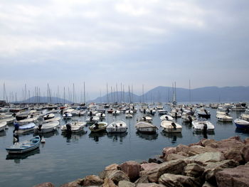 Sailboats moored on harbor against sky