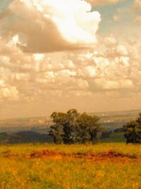 Scenic view of field against sky