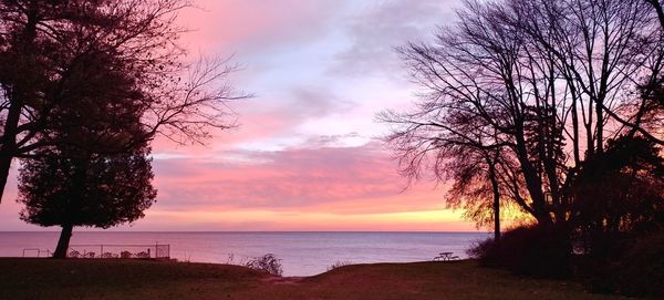 Silhouette trees on beach against sky at sunset