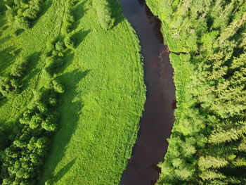 High angle view of green field