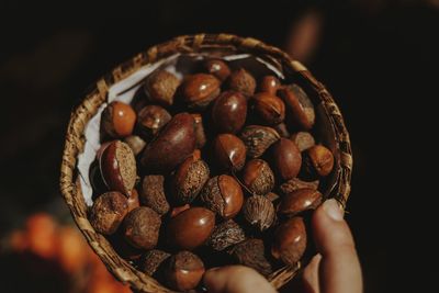 Close-up of hand holding coffee beans