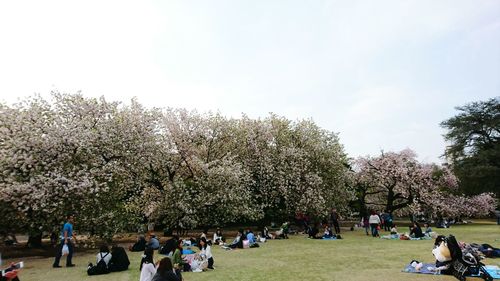 People in park