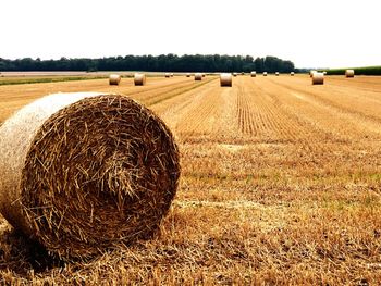 Hay bales on field against clear sky