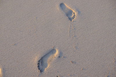 High angle view of footprints on wet sand