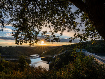 Sunlight streaming through trees against sky during sunset