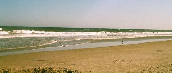 Scenic view of beach