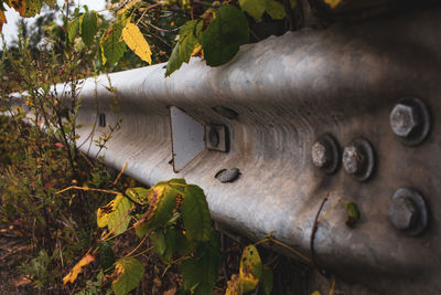 Close-up of rusty metal