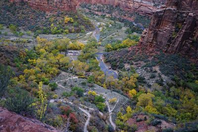 High angle view of road passing through forest