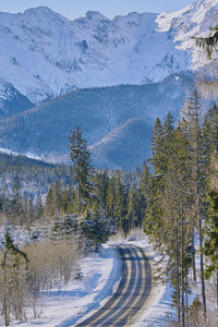 Snow covered road amidst trees and mountains