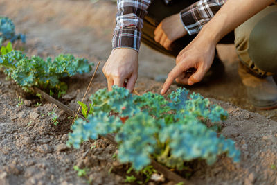 Man working in farm