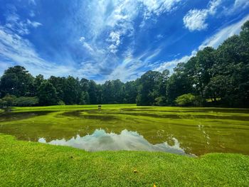 Scenic view of agricultural field against sky