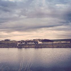 Scenic view of sea against cloudy sky