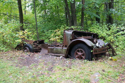 Abandoned vehicle in forest