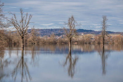 Bare trees reflecting in lake against cloudy sky