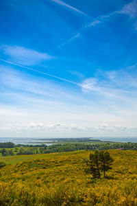 Scenic view of field against blue sky