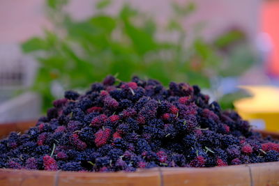 Close-up of berries