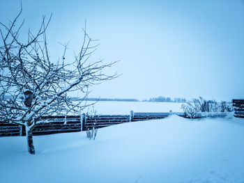 Bare tree on snow covered field against clear sky