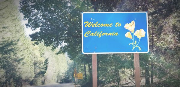 Close-up of road sign against trees