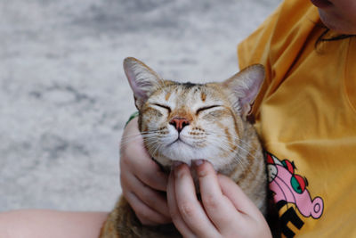 Midsection of woman holding cat