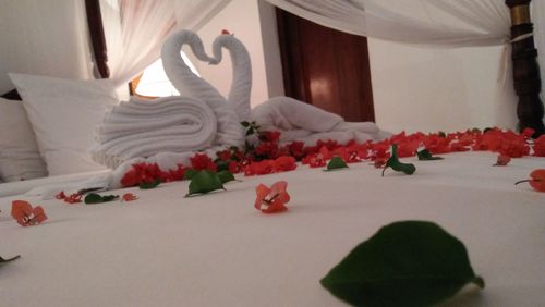 Close-up of white rose on table at home