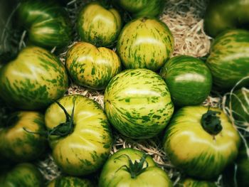 High angle view of green tomatoes for sale at market stall