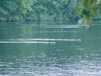 Scenic view of lake