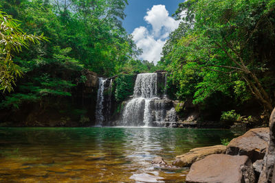 Scenic view of waterfall in forest