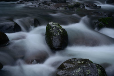 Scenic view of waterfall
