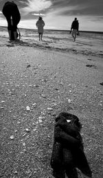 People walking on beach against sky