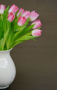 Close-up of pink flowers in vase