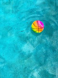 High angle view of multi colored ball in swimming pool