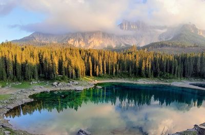 Scenic view of lake by trees against sky