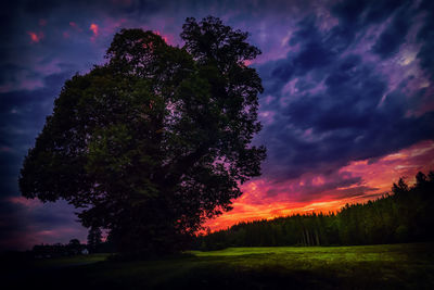 Tree on landscape against sky at sunset