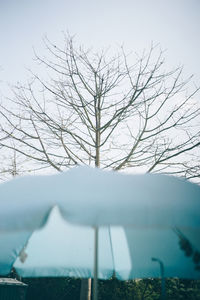 Bare tree on snow field against sky